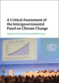 bokomslag A Critical Assessment of the Intergovernmental Panel on Climate Change