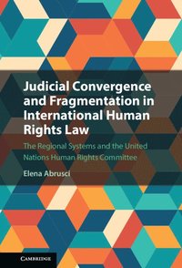 bokomslag Judicial Convergence and Fragmentation in International Human Rights Law