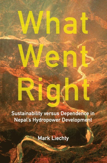 Mark Liechty, Chicago) Liechty, Mark (University of Illinois - What Went Right, Inbunden