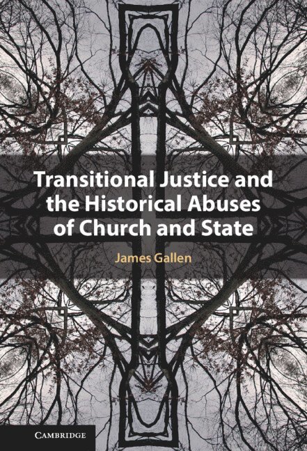 James Gallen, James (Dublin City University) Gallen - Transitional Justice and the Historical Abuses of Church and State, Inbunden