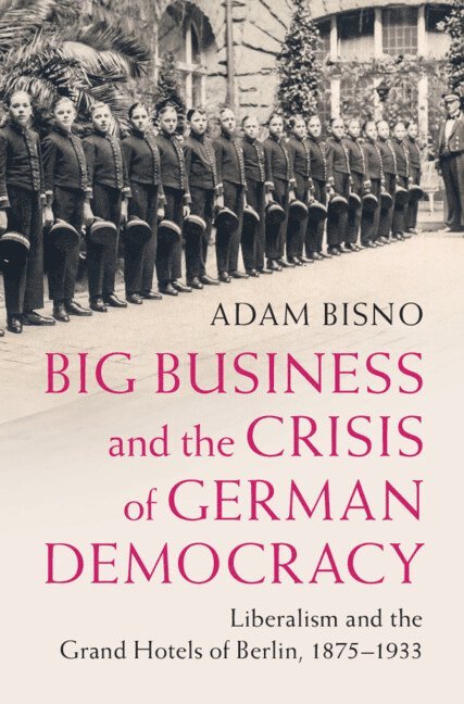 Adam Bisno - Big Business and the Crisis of German Democracy, Inbunden