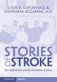 bokomslag Stories of Stroke