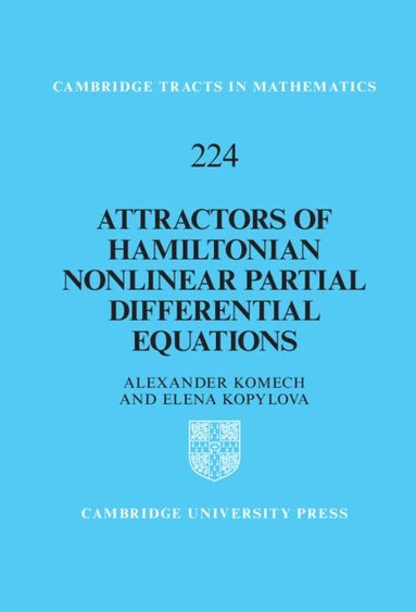 bokomslag Attractors of Hamiltonian Nonlinear Partial Differential Equations