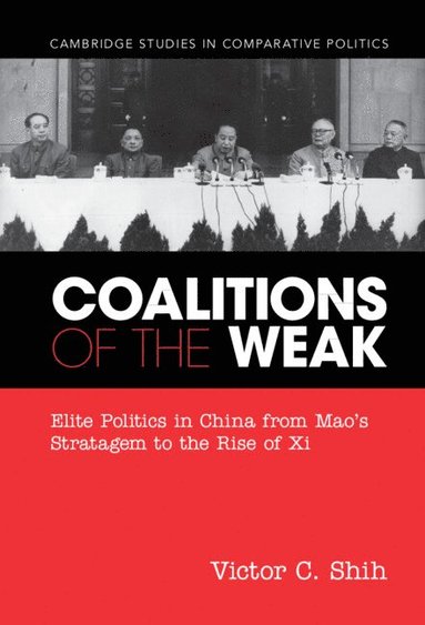 bokomslag Coalitions of the Weak