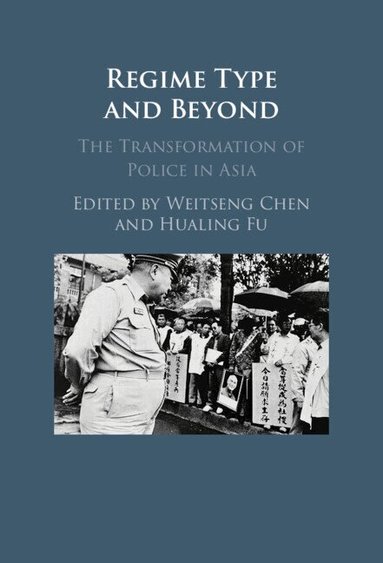 Weitseng Chen, Hualing Fu - Regime Type and Beyond, Inbunden