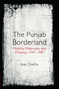 bokomslag The Punjab Borderland