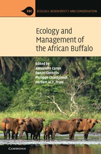 bokomslag Ecology and Management of the African Buffalo