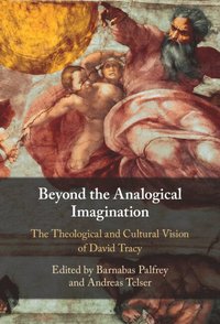 bokomslag Beyond the Analogical Imagination
