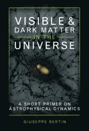 bokomslag Visible and Dark Matter in the Universe