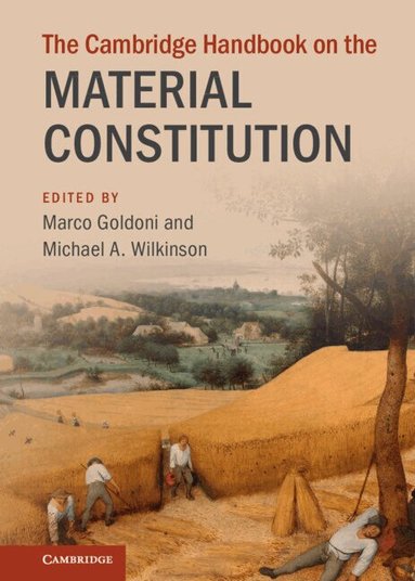 Marco Goldoni, Michael A. Wilkinson - The Cambridge Handbook on the Material Constitution, Inbunden