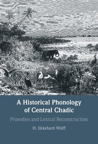 bokomslag A Historical Phonology of Central Chadic