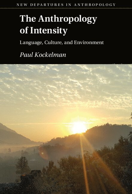 The Anthropology of Intensity 1