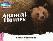 bokomslag Cambridge Reading Adventures Animal Homes Pink A Band