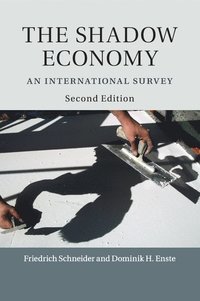bokomslag The Shadow Economy