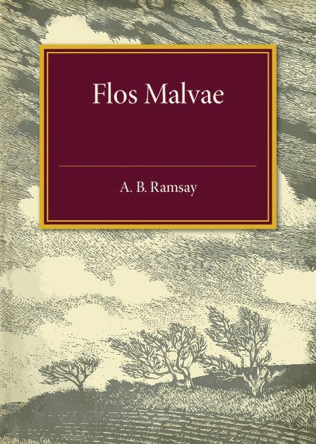 Flos Malvae 1