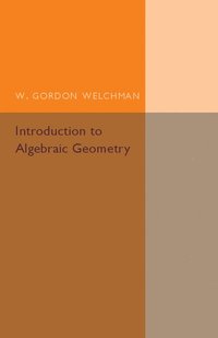 bokomslag Introduction to Algebraic Geometry