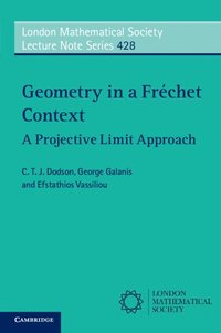 bokomslag Geometry in a Frchet Context
