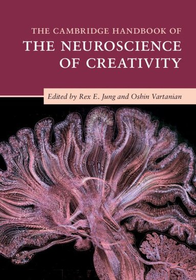Rex E. Jung, Oshin Vartanian - The Cambridge Handbook of the Neuroscience of Creativity, Häftad