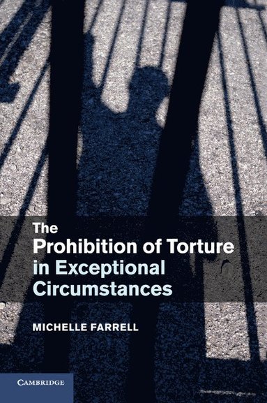 bokomslag The Prohibition of Torture in Exceptional Circumstances