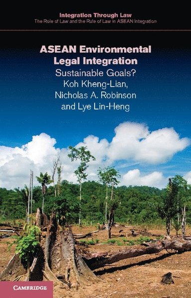 bokomslag ASEAN Environmental Legal Integration