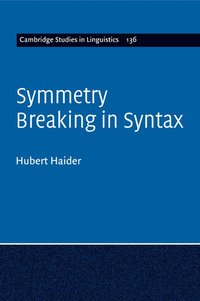 bokomslag Symmetry Breaking in Syntax