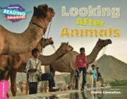 bokomslag Cambridge Reading Adventures Looking After Animals Pink B Band