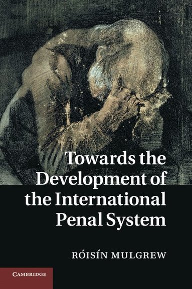 bokomslag Towards the Development of the International Penal System