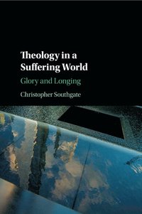 bokomslag Theology in a Suffering World