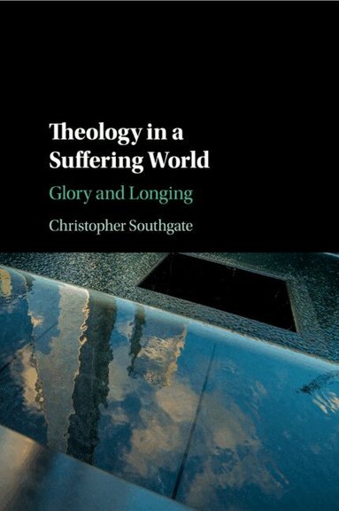 Christopher Southgate - Theology in a Suffering World, Häftad