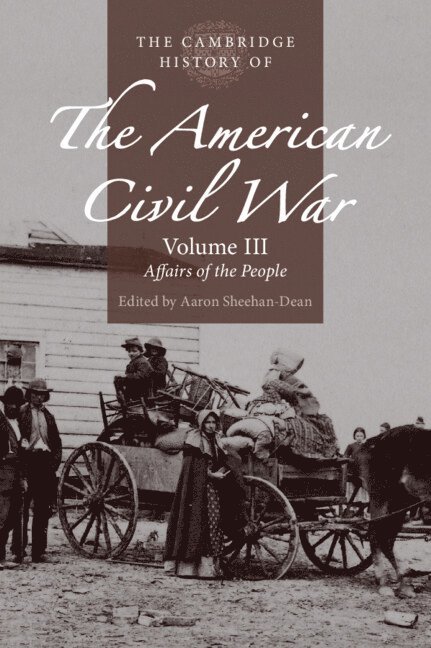The Cambridge History of the American Civil War: Volume 3, Affairs of the People 1