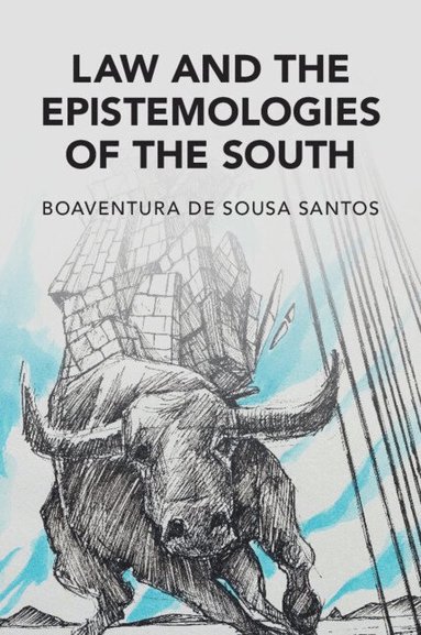 bokomslag Law and the Epistemologies of the South