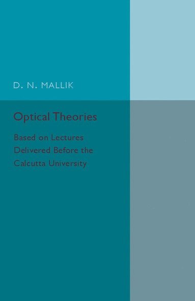 bokomslag Optical Theories
