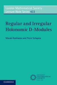 bokomslag Regular and Irregular Holonomic D-Modules