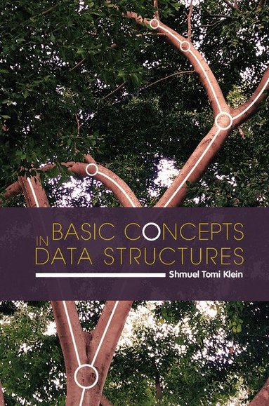 Shmuel Tomi Klein - Basic Concepts in Data Structures, Häftad