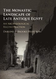 Darlene L. Brooks Hedstrom, Ohio) Brooks Hedstrom, Darlene L. (Wittenberg University - The Monastic Landscape of Late Antique Egypt, Häftad