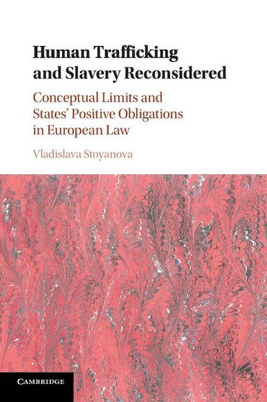 Vladislava Stoyanova - Human Trafficking and Slavery Reconsidered, Häftad