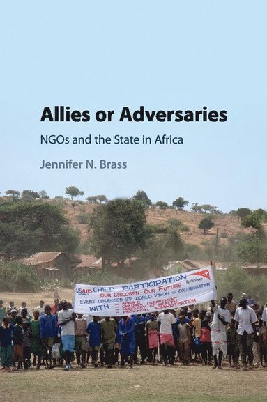 bokomslag Allies or Adversaries