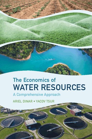 Ariel Dinar, Yacov Tsur - The Economics of Water Resources, Häftad