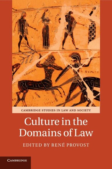 René Provost - Culture in the Domains of Law, Häftad