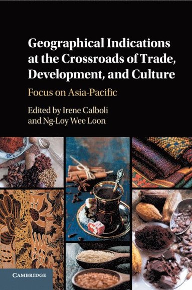 bokomslag Geographical Indications at the Crossroads of Trade, Development, and Culture