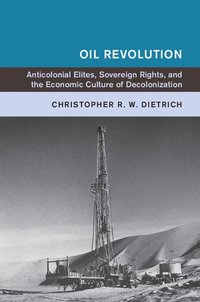 bokomslag Oil Revolution
