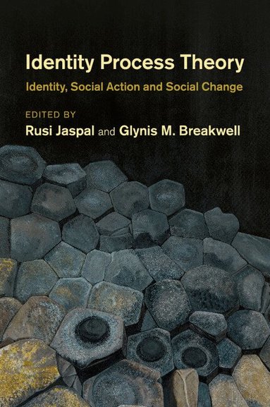 Rusi Jaspal, Glynis M. Breakwell - Identity Process Theory, Häftad