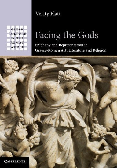 Verity Platt - Facing the Gods, Häftad