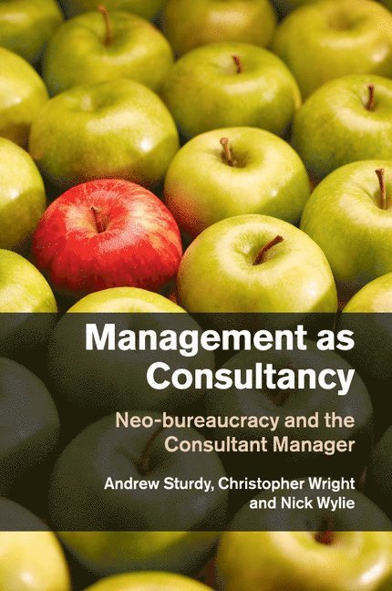 Management as Consultancy 1