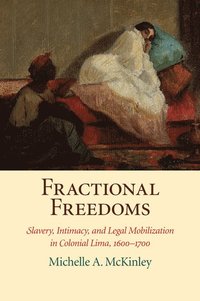 bokomslag Fractional Freedoms
