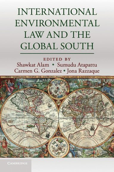 bokomslag International Environmental Law and the Global South