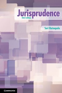 bokomslag Jurisprudence