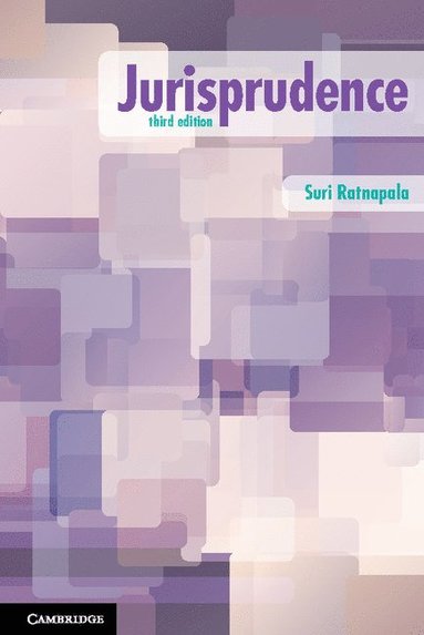 bokomslag Jurisprudence
