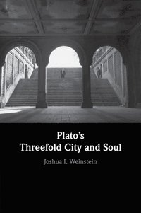 bokomslag Plato's Threefold City and Soul