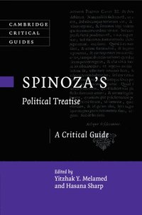 bokomslag Spinoza's Political Treatise